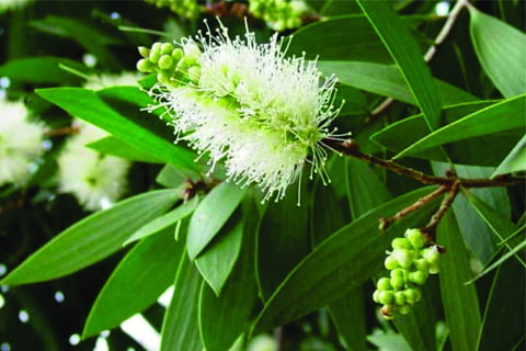 CÔNG TY TNHH NHẬT NAM FINE FOOD