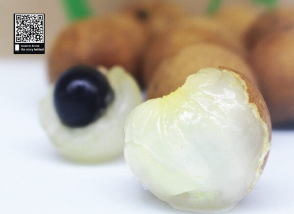 Nhãn bắp cải Vũng Tàu – Vườn Chú Sáu