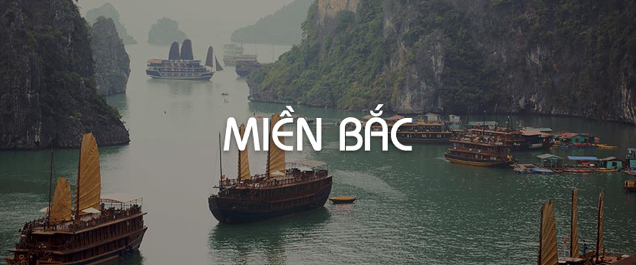 CÔNG TY TNHH NHẬT NAM FINE FOOD