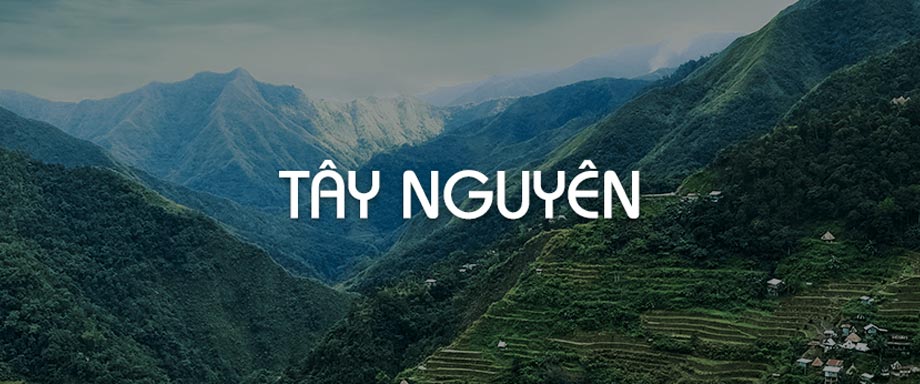 CÔNG TY TNHH NHẬT NAM FINE FOOD