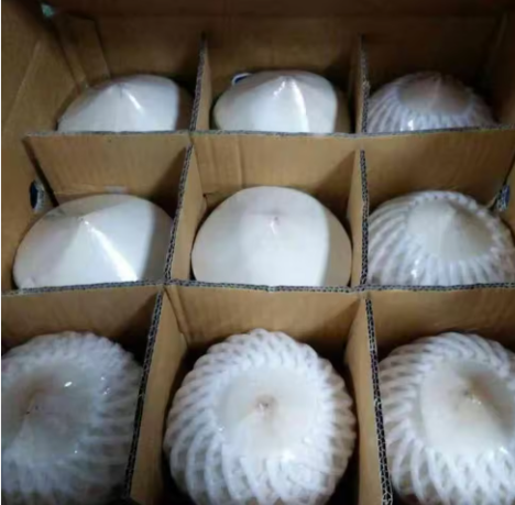 TRÁI DỪA TƯƠI TỪ VN CHẤT LƯỢNG CAO, GIÁ CẢ CẠNH TRANH