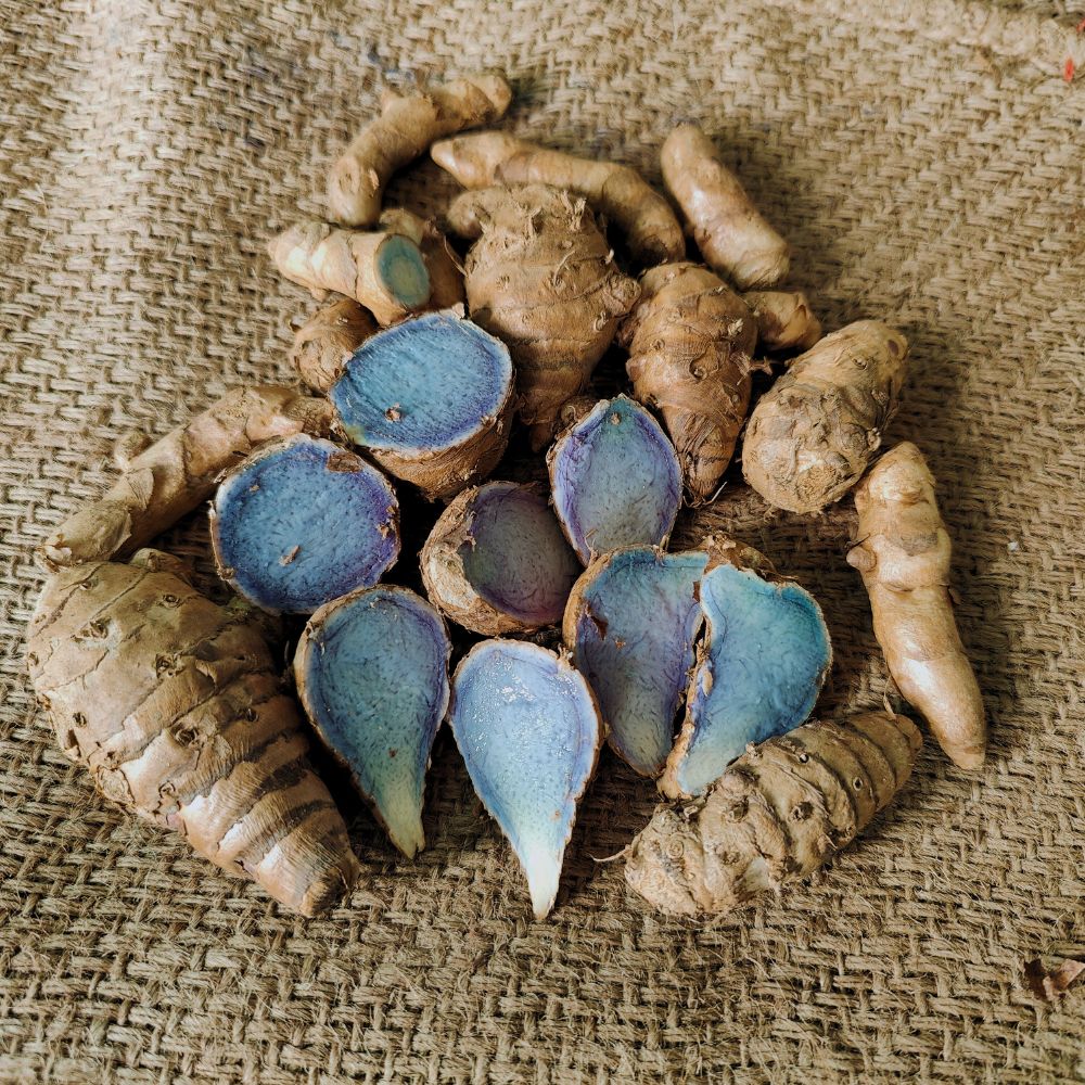 BLACK TURMERIC