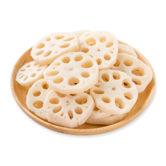LOTUS ROOT