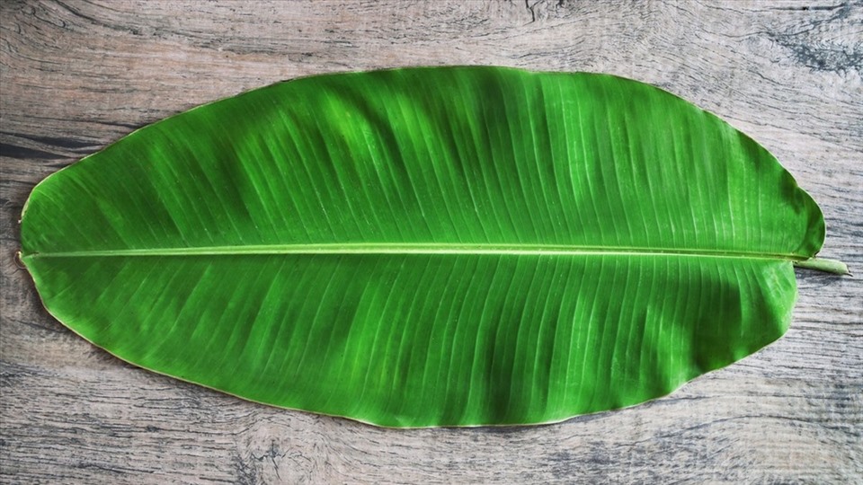 BANANA LEAF