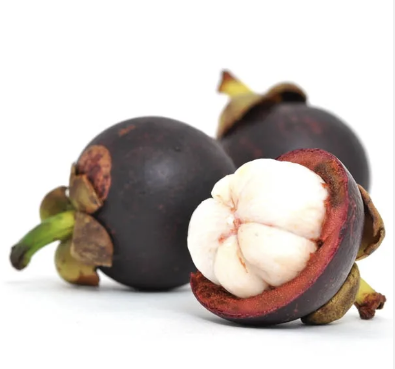 フレッシュマンゴスチン