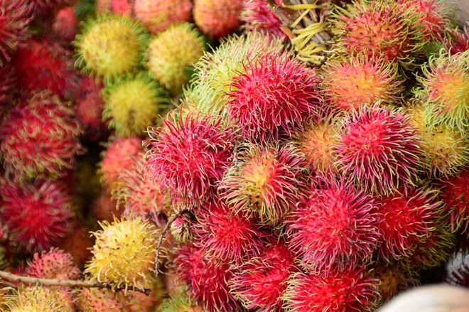 Rambutan