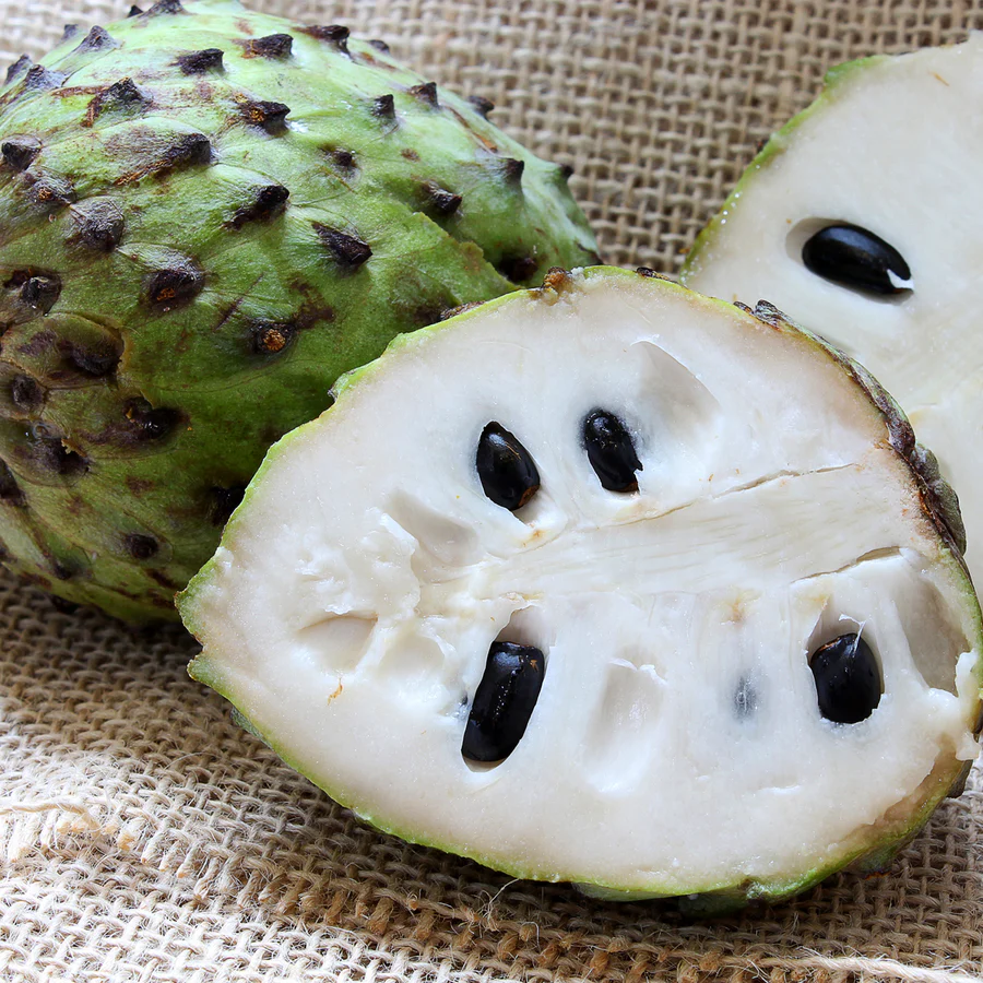 SOURSOP
