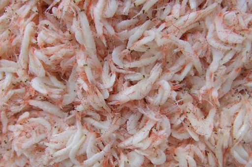 SALTED BABY SHRIMP
