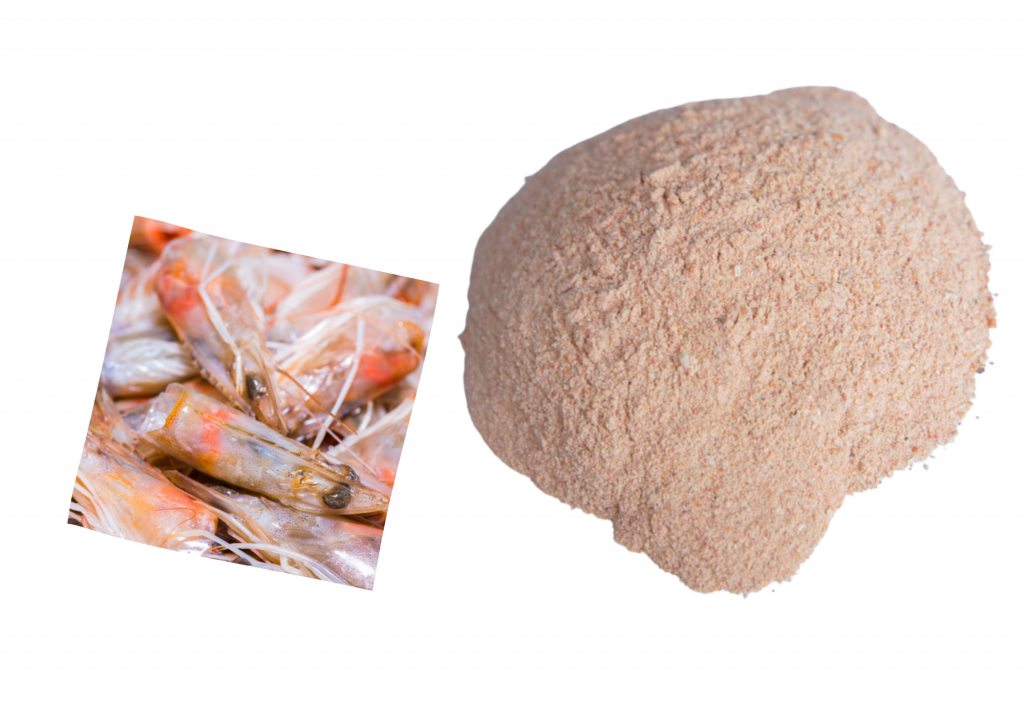 Bột vỏ tôm