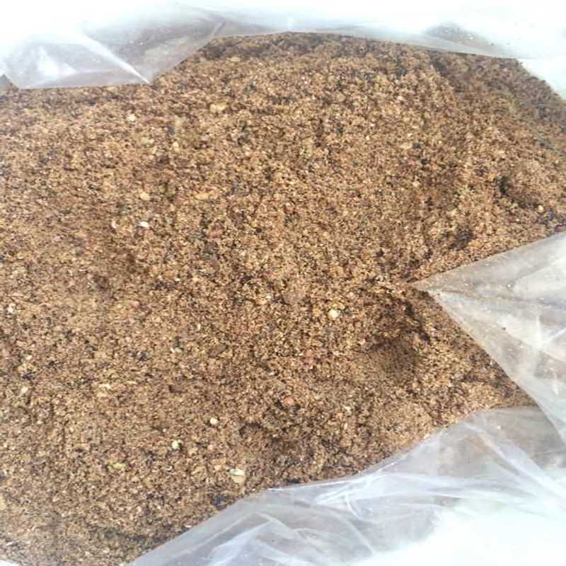 BỮA ĂN HẠT ĐIỀU