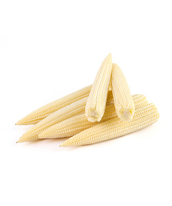 BABY SWEET CORN