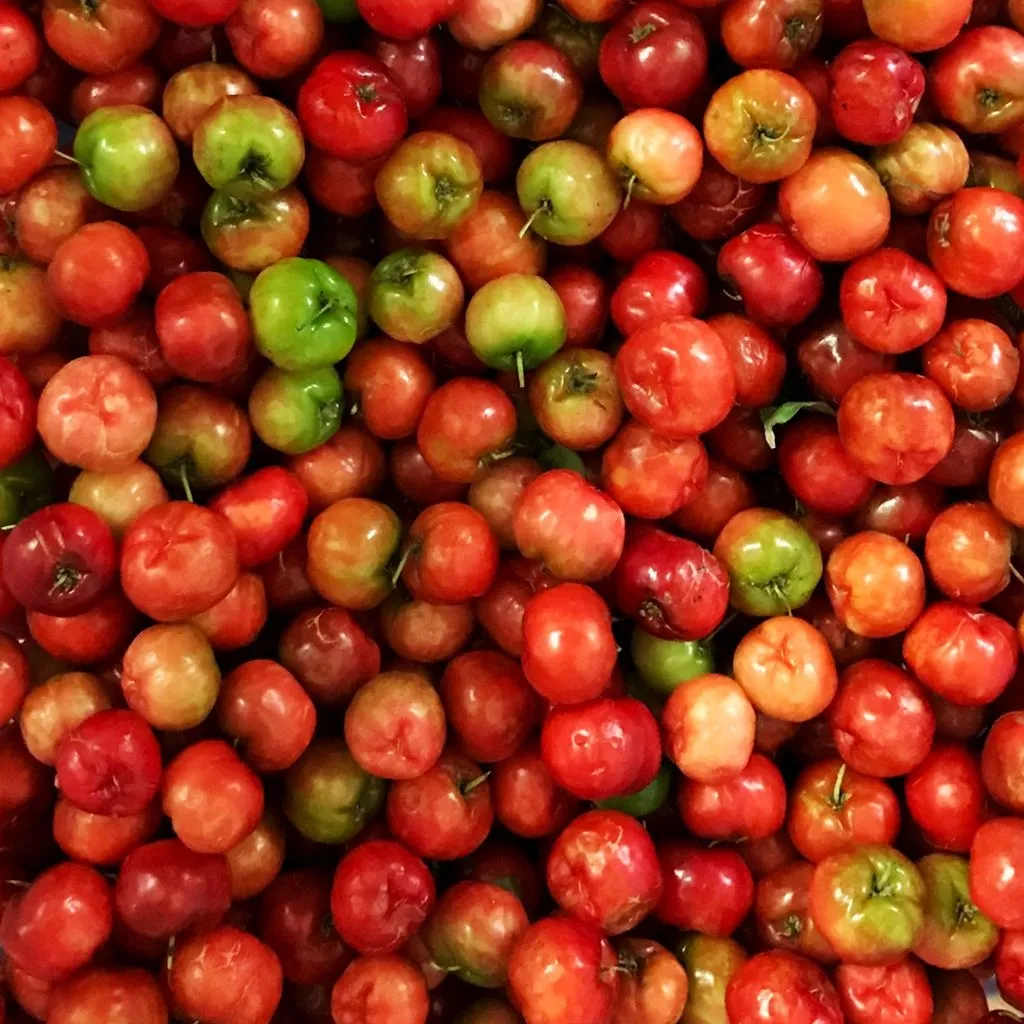 ACEROLA CHERRY