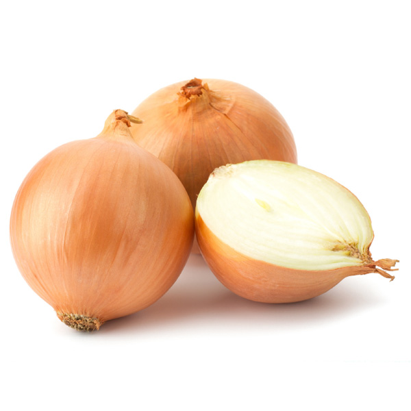 FRESH ONION