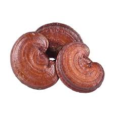 Dried reishi mushroom