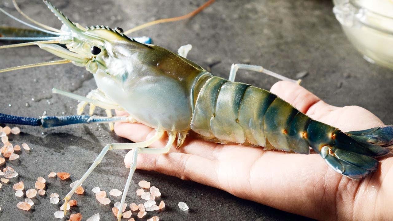FROZEN GIANT RIVER SHRIMP