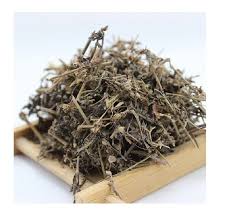 CÂY SƯƠNG SÁO KHÔ