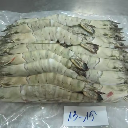 TÔM SÚ ĐÔNG LẠNH