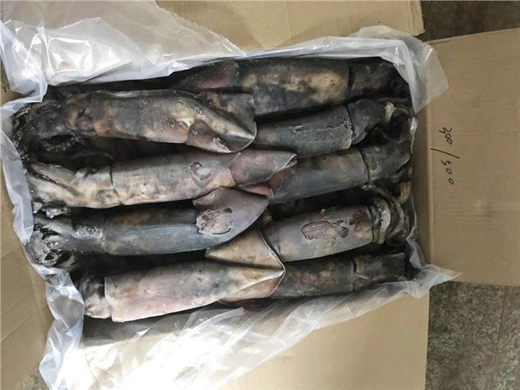 Mực đen đông lạnh