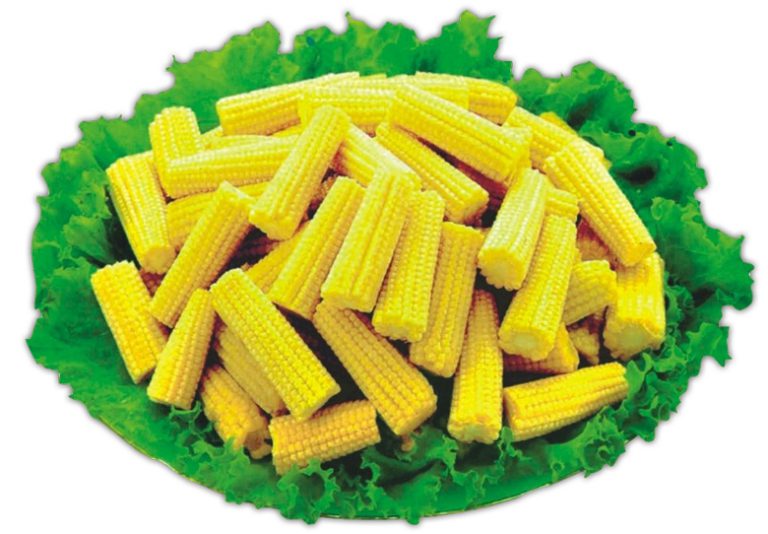 Canned baby corn cut into pieces