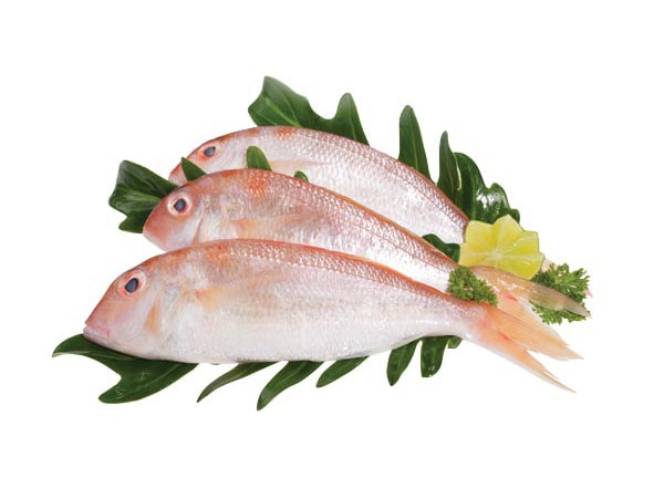 Cá đầu ngựa đông lạnh