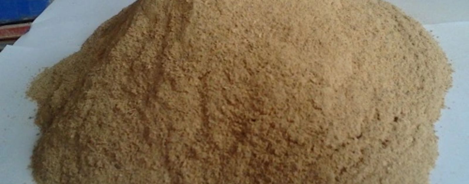 Beer Spent Grain Powder